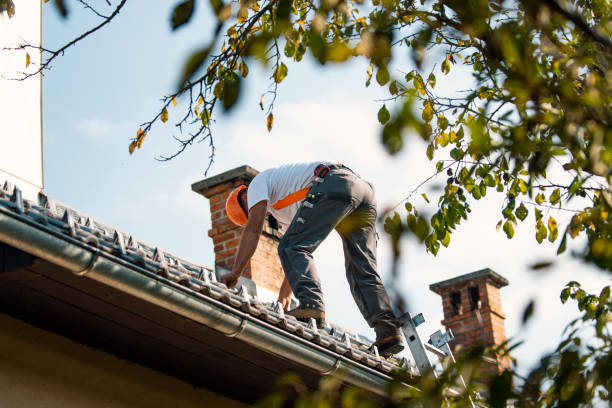 Best Roof Replacement Cost  in Martins Ferry, OH