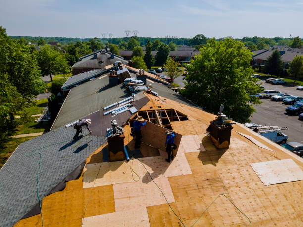 Best Commercial Roofing Services  in Martins Ferry, OH