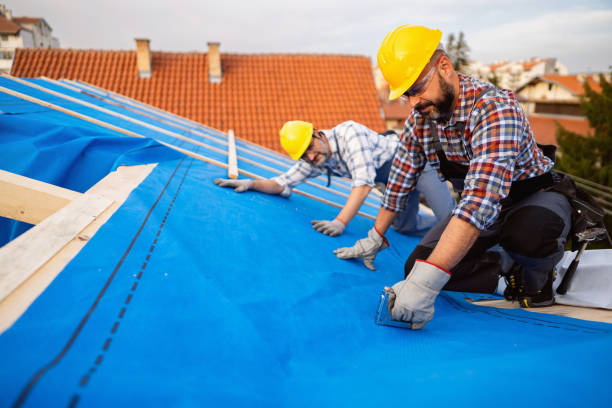 Best New Roof Installation  in Martins Ferry, OH
